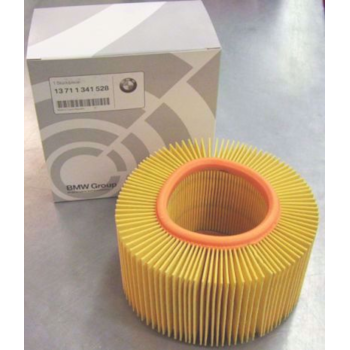 BMW Air Filter, Oil-Heads (except R1200C/CL, & 1100S)