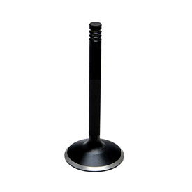 Black Diamond Intake Valve 42mm