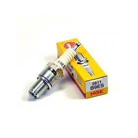 Spark Plug B9ES for 1955-'69 R50S, R69 & R69S (See Applications)