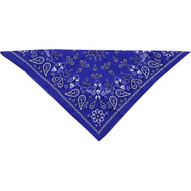 Paisley Cotton Bandana